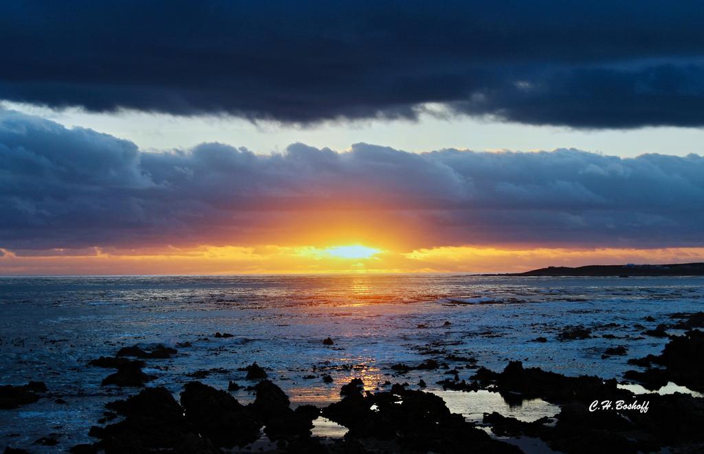 Walkerbay Accommodation Gansbaai Esterno foto