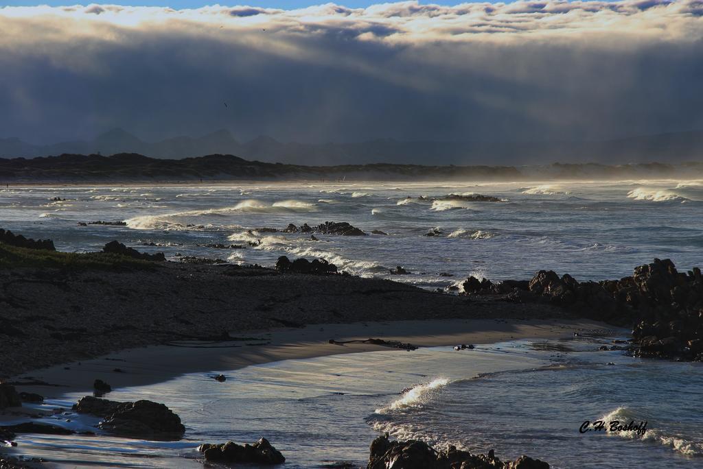 Walkerbay Accommodation Gansbaai Esterno foto