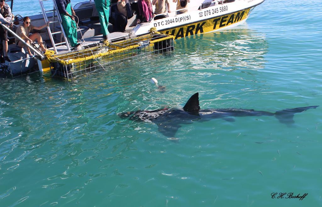 Walkerbay Accommodation Gansbaai Esterno foto