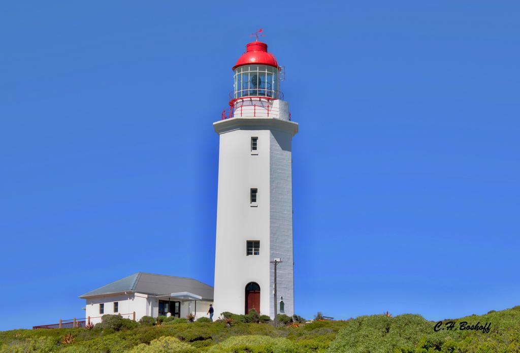Walkerbay Accommodation Gansbaai Esterno foto