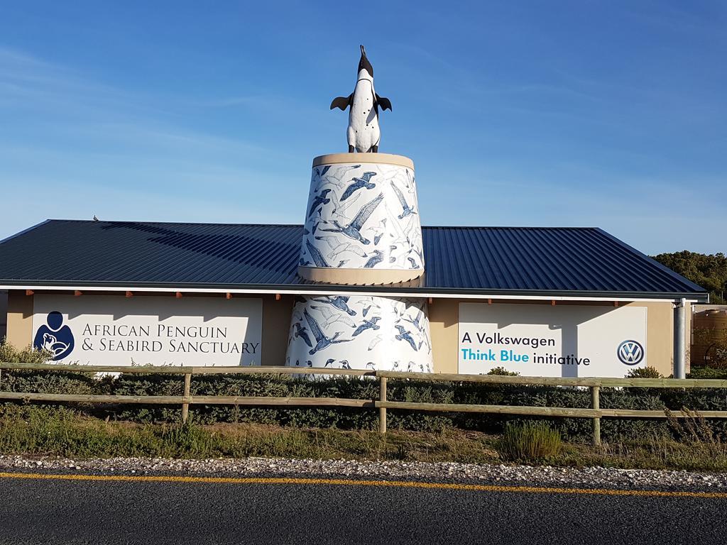 Walkerbay Accommodation Gansbaai Esterno foto